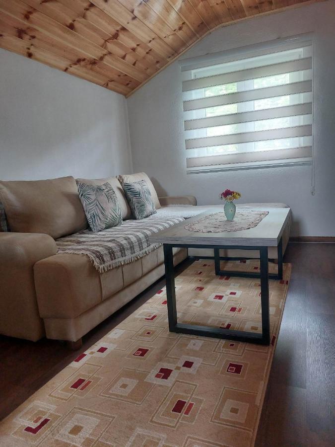Apartman Branko Колашин Экстерьер фото